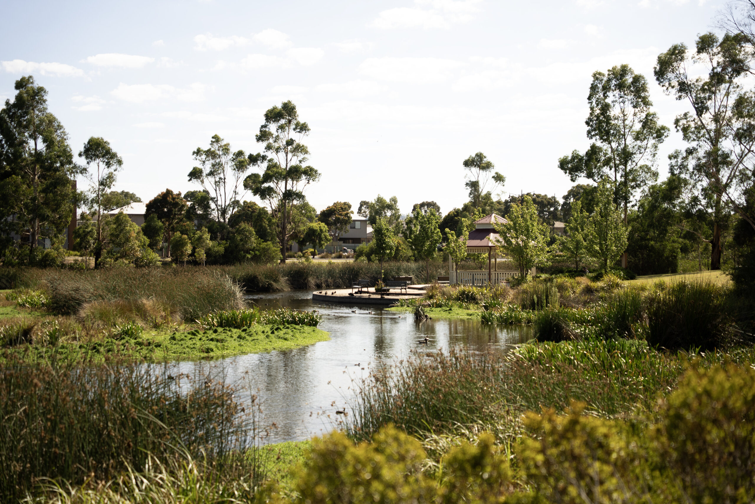 Where your story finds a home