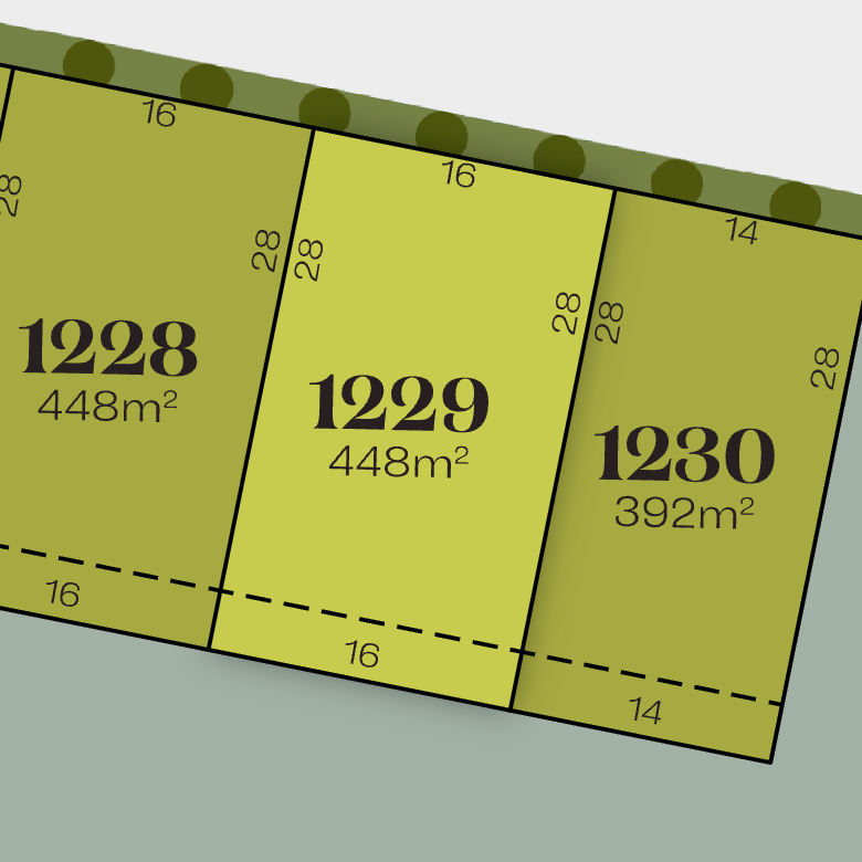 Lot 1229